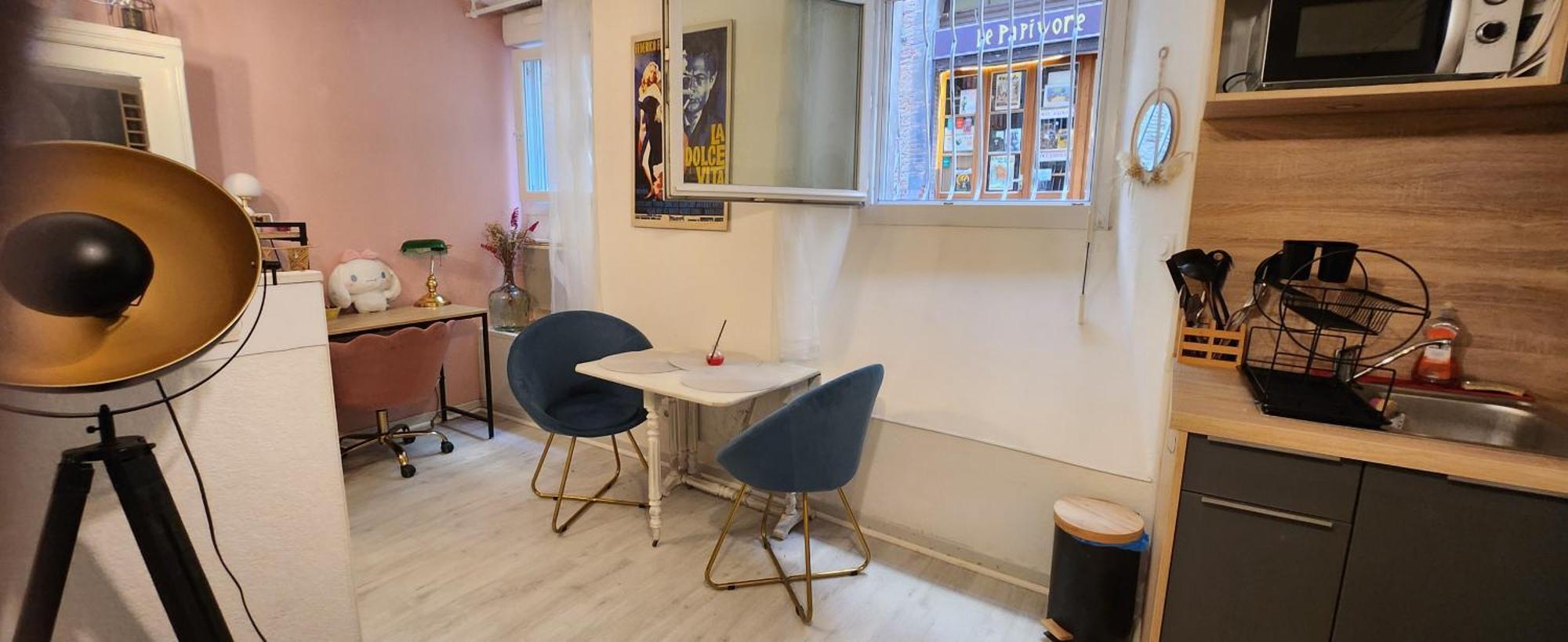 Appartement Hyper Centre Historique Toulouse Capitole Cosy Dış mekan fotoğraf